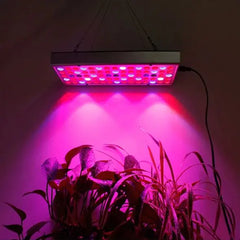 LED Grow Light for Seedlings in Greenhouses